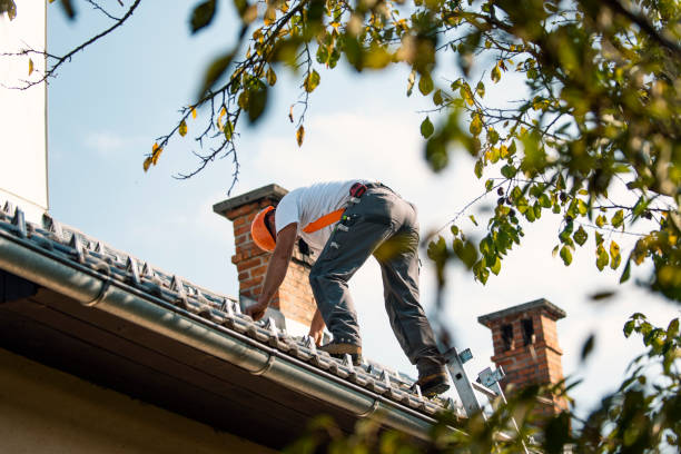 Roof Gutter Cleaning in Tainter Lake, WI
