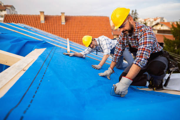 Best Best Roofing Contractors  in Tainter Lake, WI