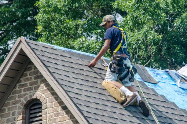Best Local Roofing Companies  in Tainter Lake, WI